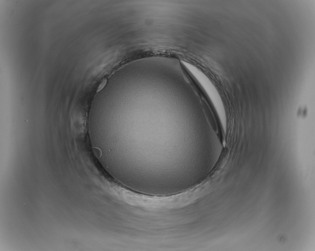 X0000090870039200708101342