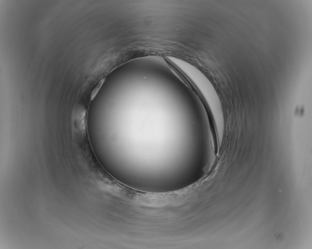 X0000090870041200708101342