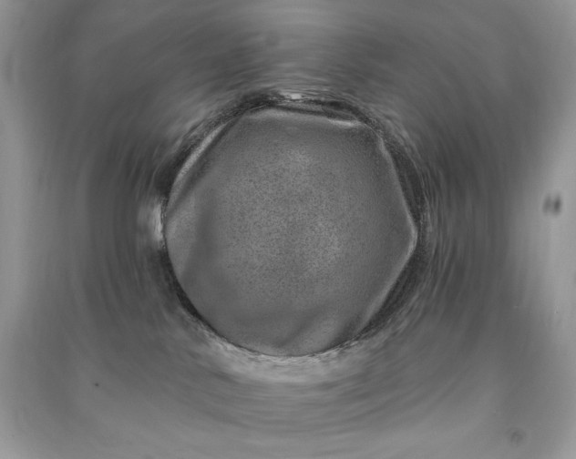 X0000090870042200708101342