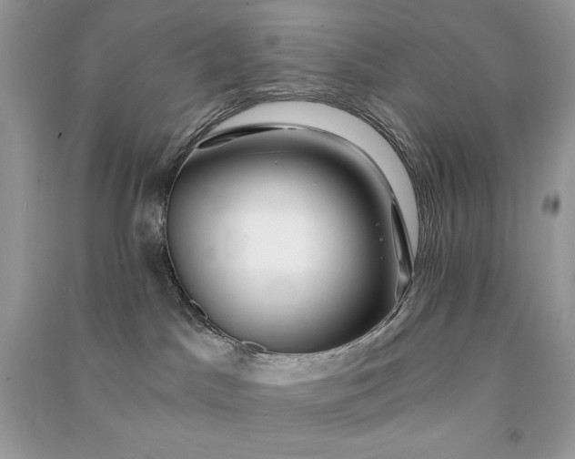 X0000090870045200708101342