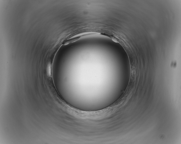 X0000090870046200708101342