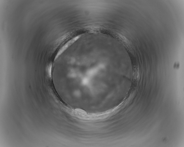 X0000090870047200708101342