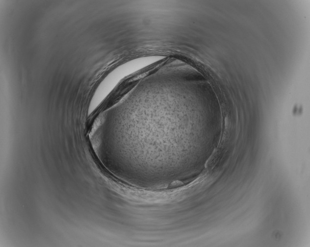 X0000090870048200708101342