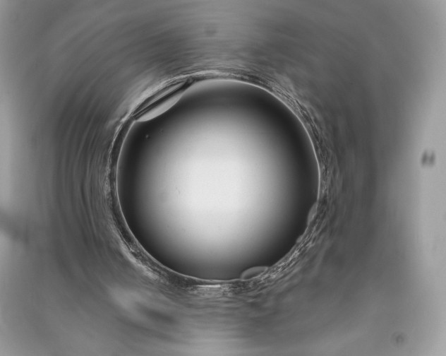 X0000090870050200708101342