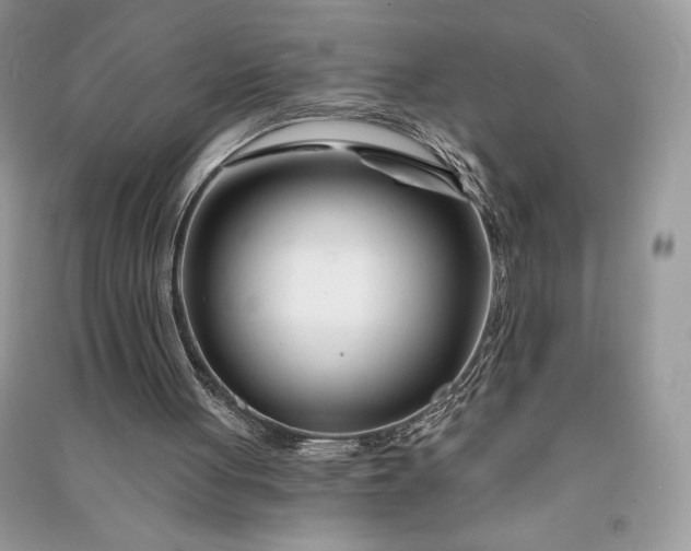 X0000090870051200708101342