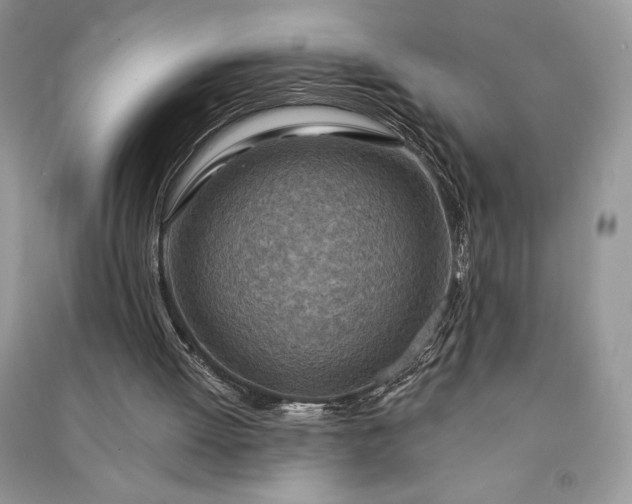 X0000090870052200708101342