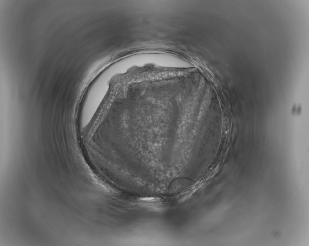 X0000090870053200708101342