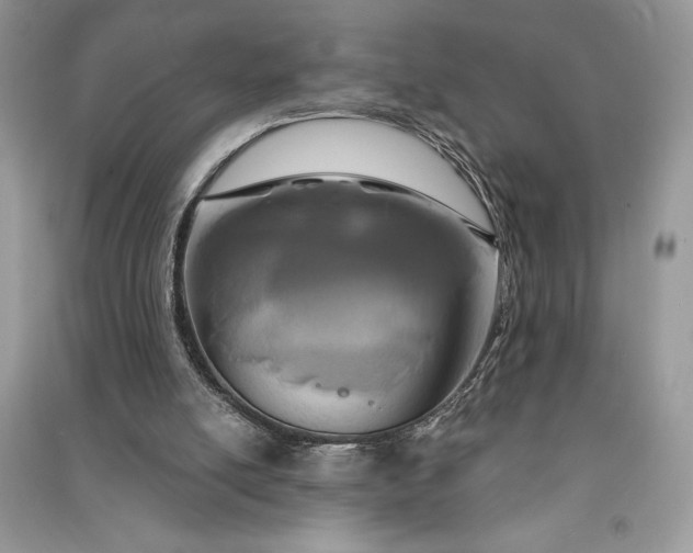 X0000090870054200708101342