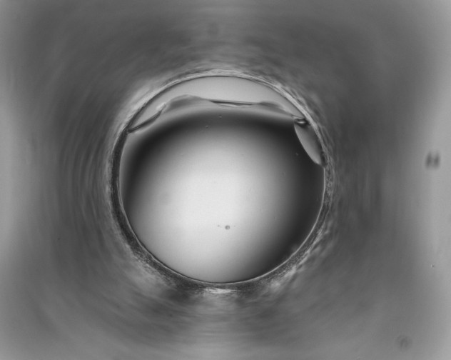 X0000090870055200708101342