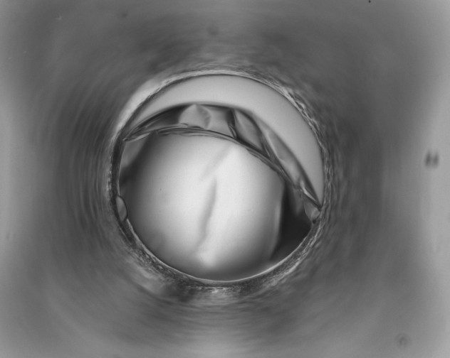 X0000090870056200708101342