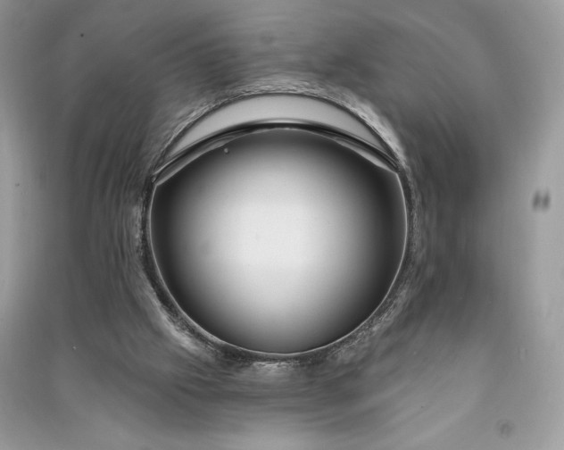 X0000090870057200708101342