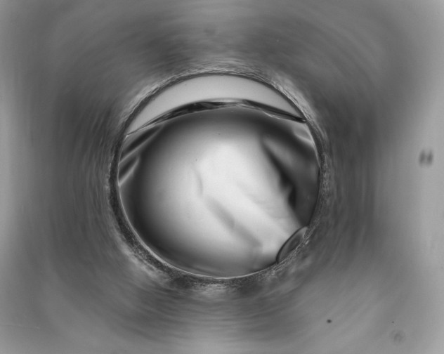 X0000090870058200708101342