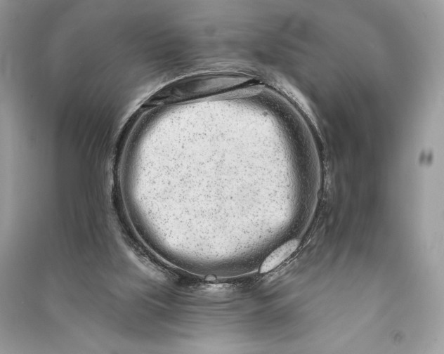 X0000090870059200708101342