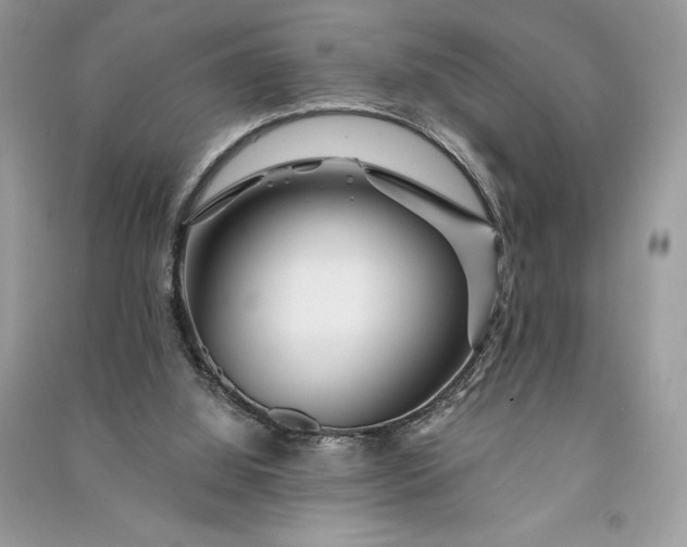 X0000090870060200708101342