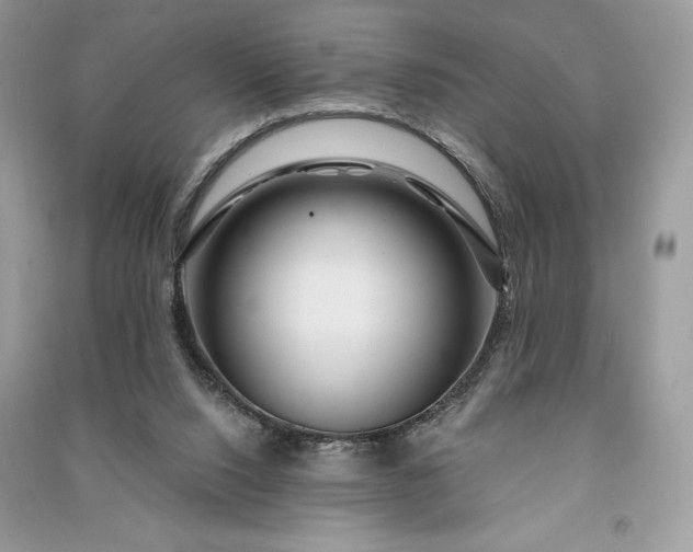 X0000090870064200708101342