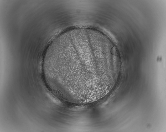 X0000090870065200708101342