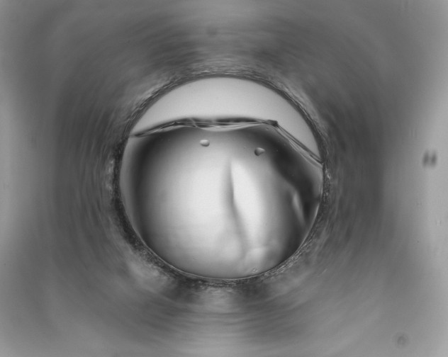 X0000090870066200708101342