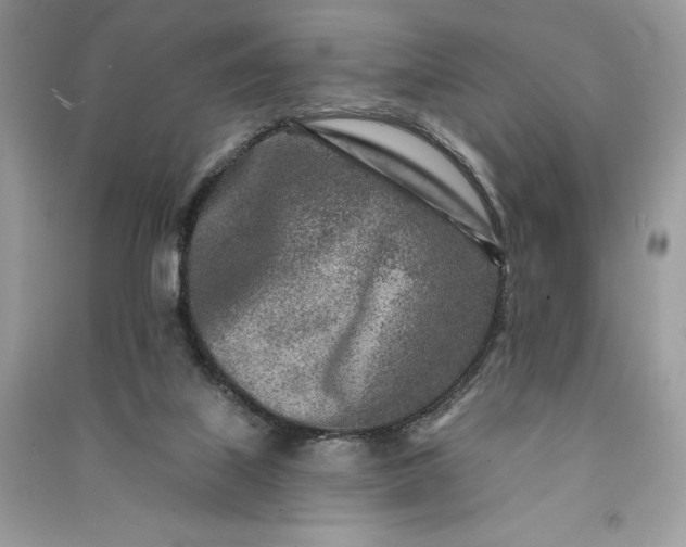 X0000090870067200708101342