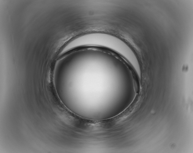 X0000090870068200708101342