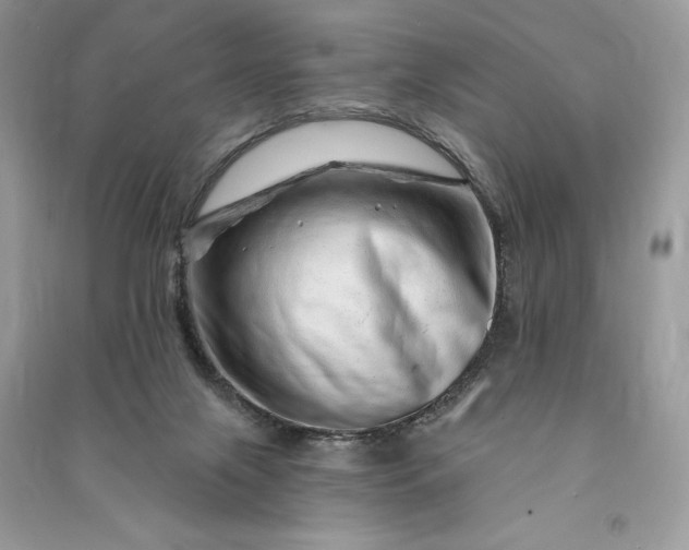 X0000090870071200708101342