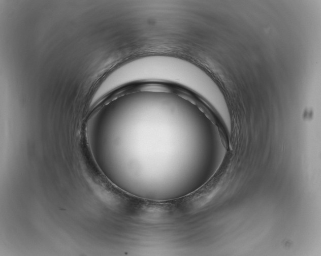 X0000090870072200708101342