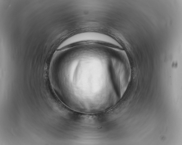 X0000090870073200708101342