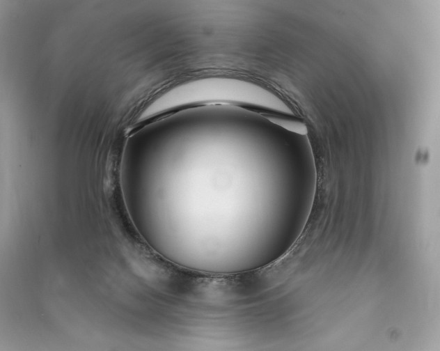 X0000090870074200708101342