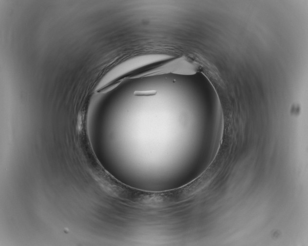 X0000090870075200708101342