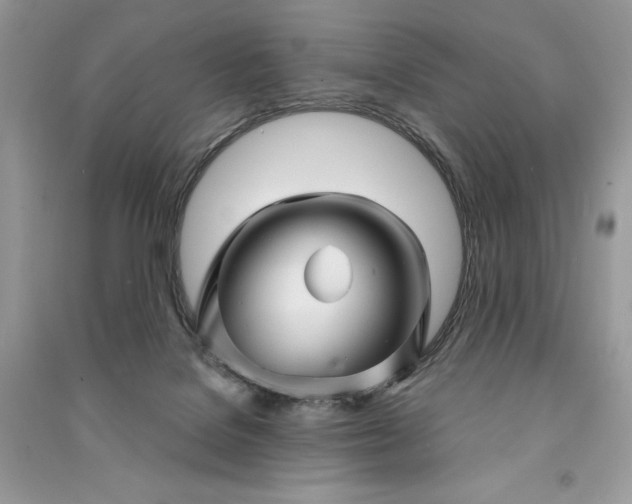 X0000090870076200708101342