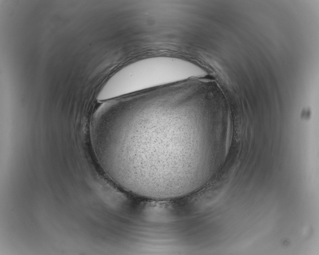 X0000090870077200708101342