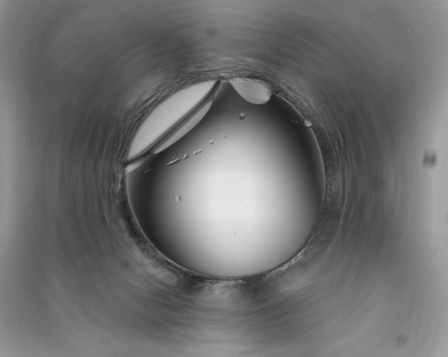 X0000090870078200708101342