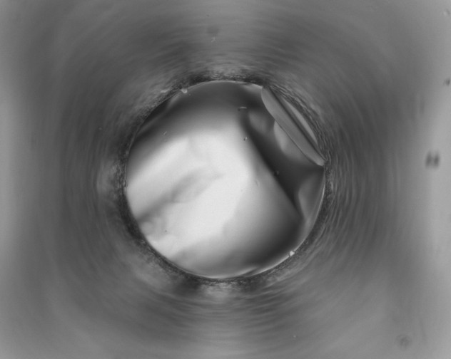 X0000090870079200708101342