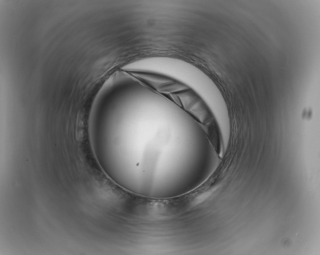 X0000090870080200708101342