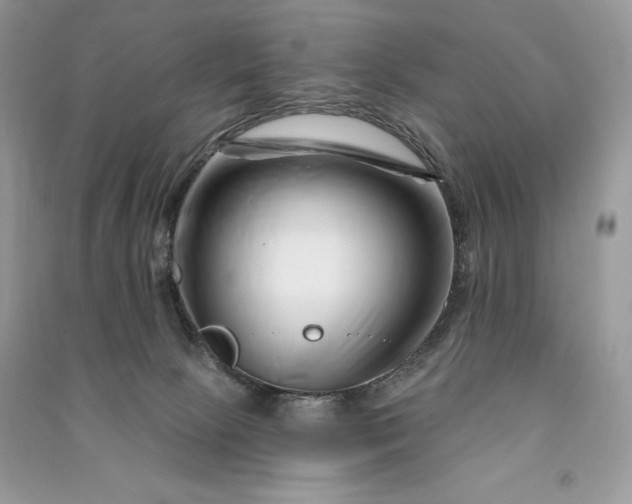 X0000090870081200708101342