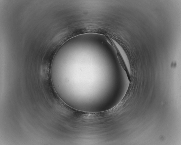 X0000090870082200708101342