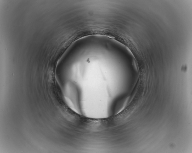 X0000090870083200708101342