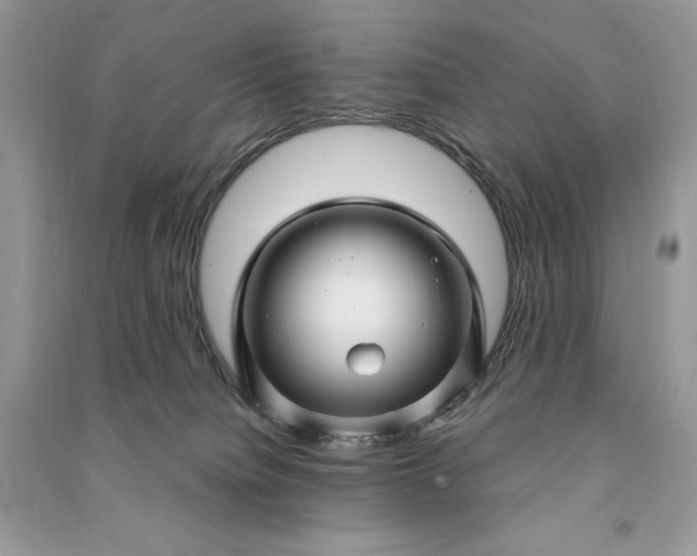 X0000090870084200708101342