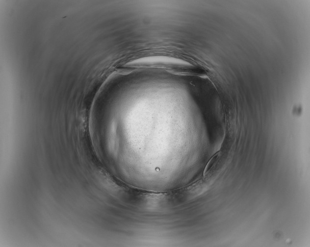 X0000090870085200708101342