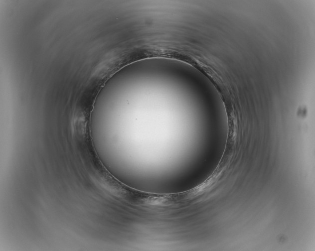 X0000090870086200708101342