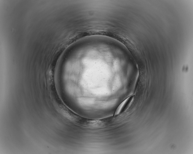 X0000090870087200708101342