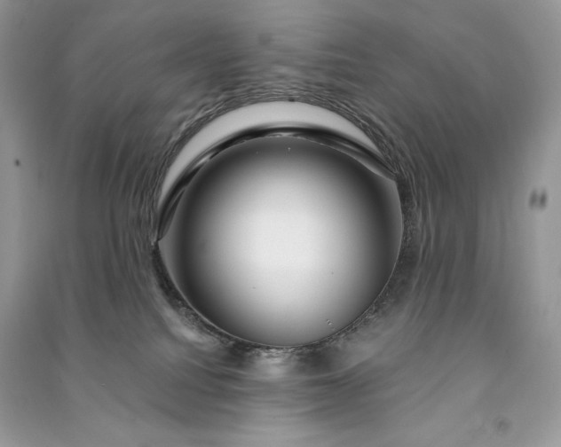 X0000090870088200708101342