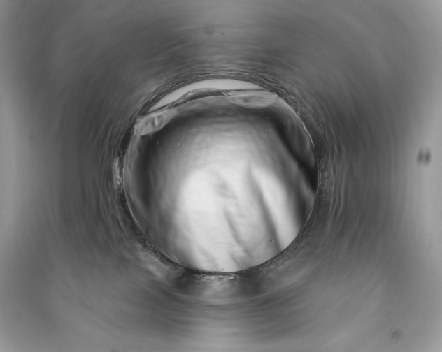 X0000090870089200708101342