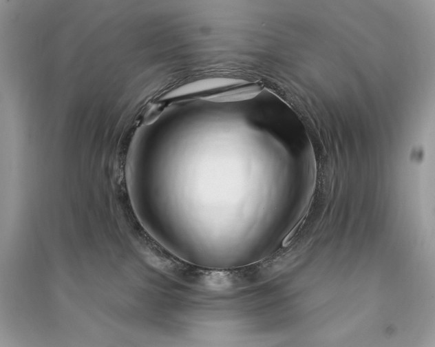 X0000090870091200708101342