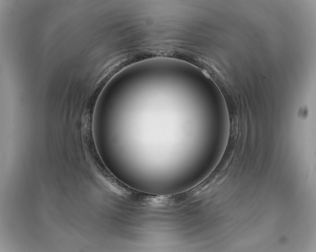 X0000090870092200708101342