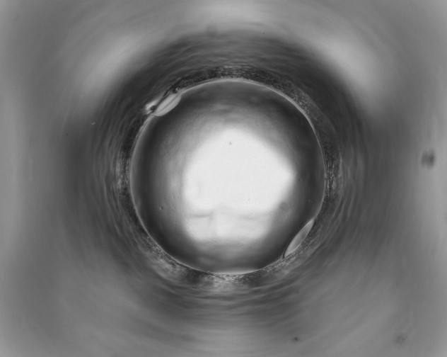 X0000090870093200708101342