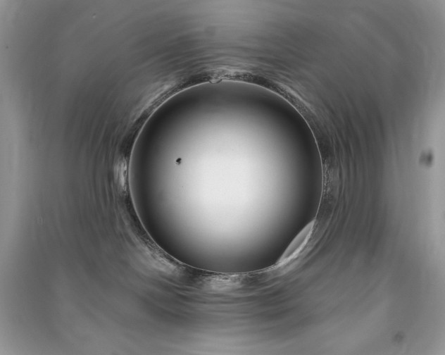 X0000090870094200708101342