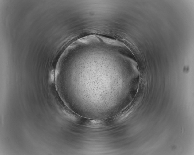 X0000090870095200708101342