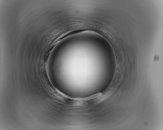 X0000090870096200708101342