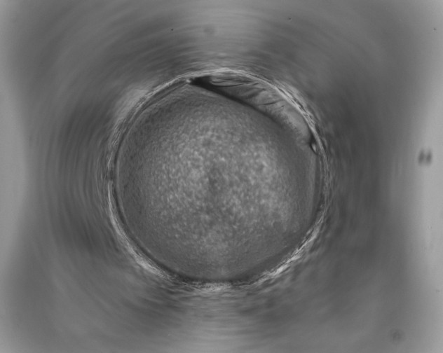 X0000090870097200708101342