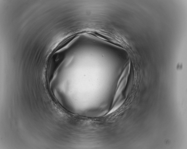 X0000090870098200708101342